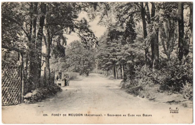CPA 92 - Forêt de MEUDON (Hauts de Seine) - 109. Sous-bois au Clos aux Boeufs
