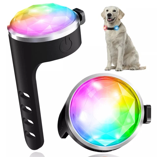 Nylon Led Haustier Hundehalsband+ Glühender Anhänger Halsket | Kaufen