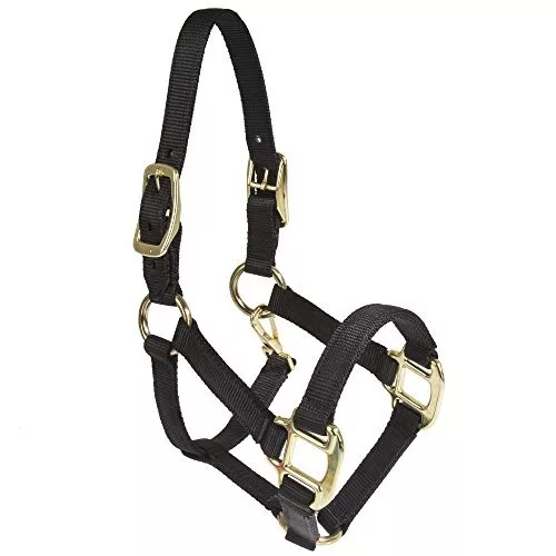 Halter - Nylon Miniature with Double Buckles on Crown (Black - Pony)