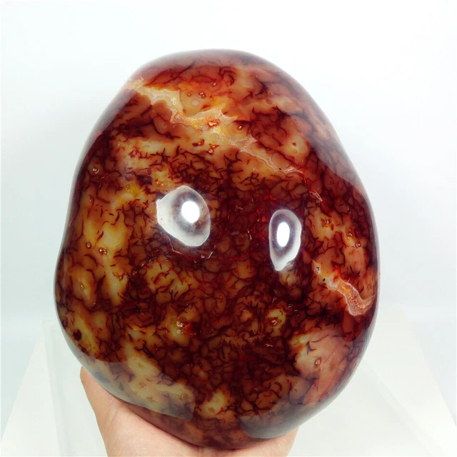 6.7lb Giant Agate CARNELIAN Stone Standup Geode Crystal Reiki Madagascar Y606