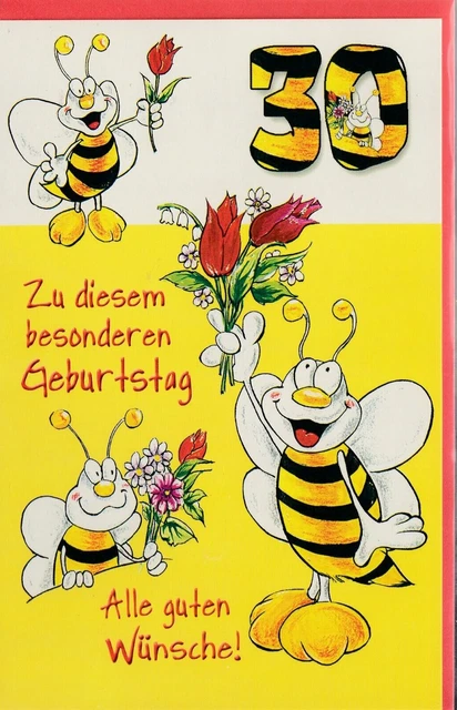 KARTE ZUM 30. Geburtstag 30 Jahre Geburtstagskarte lustig witzig BIENE