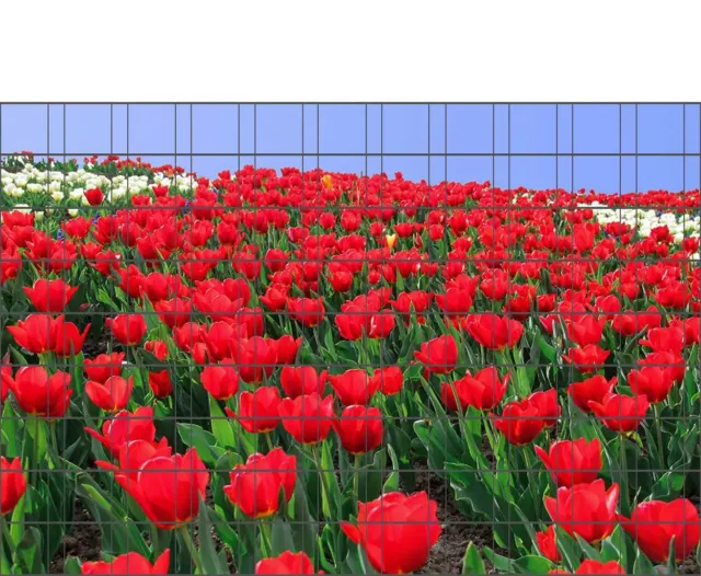 Bedruckte Zaunstreifen Motiv Tulpenmeer - Zaunposter Sichtschutz Streifen