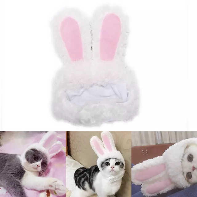 Cat bunny rabbit ears hat pet cat cosplay costumes for cat small dogs party -wf_