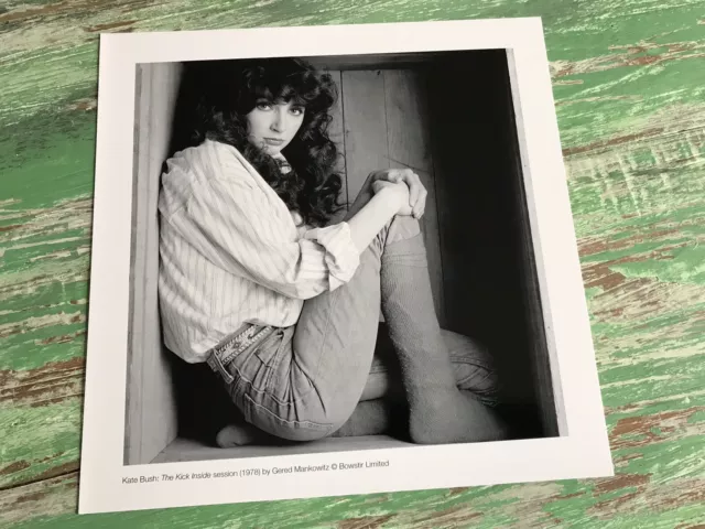 Kate Bush Rare Original Gered Mankowitz Photograph Beautiful Quality Collectors