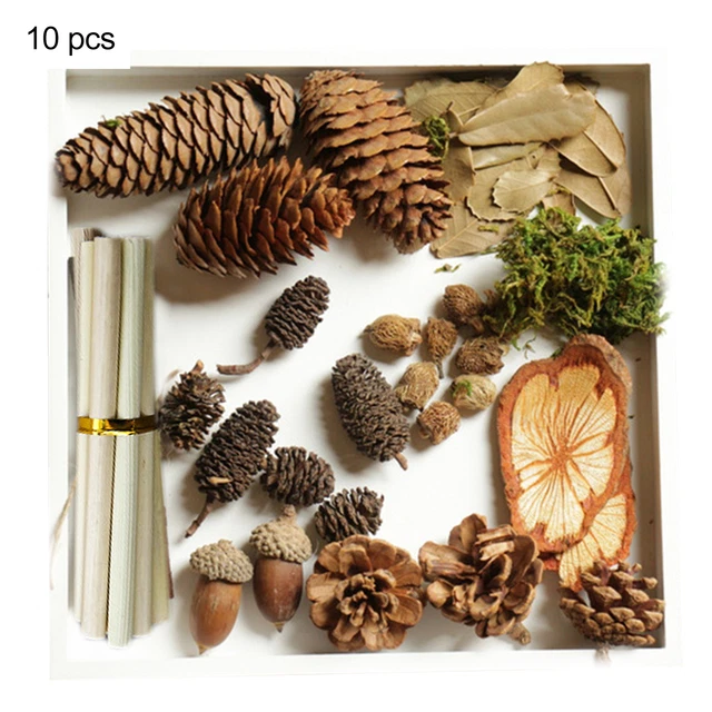 Baumscheiben, umweltfreundliche, feuchtigkeitsbeständige Naturholzscheiben,