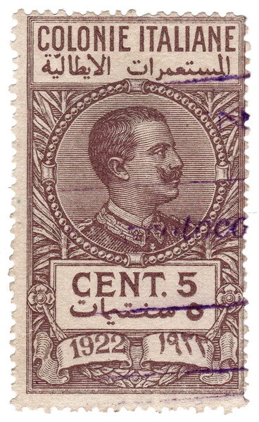 (I.B) Italy (Libya) Revenue : Duty Stamp 5c (1922)
