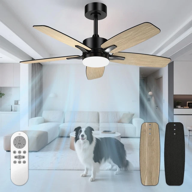 Ventilatore da soffitto: guida copleta al senso di rotazione