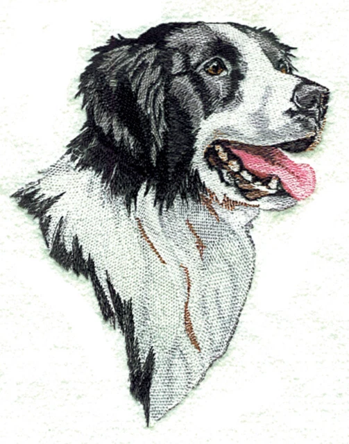 Embroidered Ladies Jacket - Border Collie BT2490  Sizes S - XXL