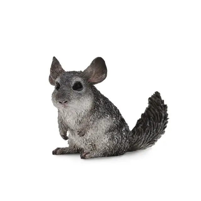 CollectA Realistic Animal Replica Long Tailed Chinchilla Medium Ages 3+ and Up
