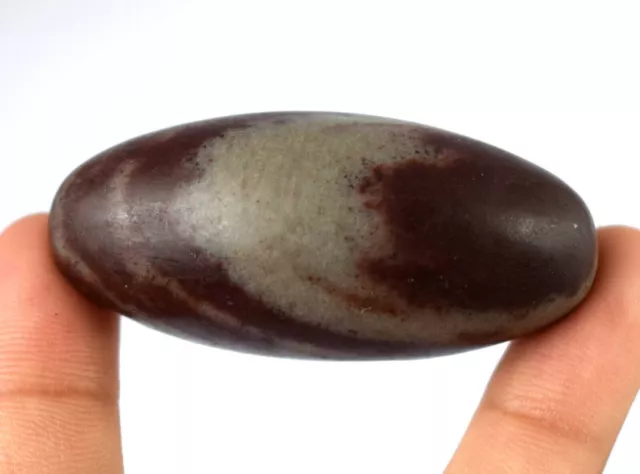 Natural 43.49 Gram/2.04" Shiva Lingam Crystal Healing Stone Festive Sales 2