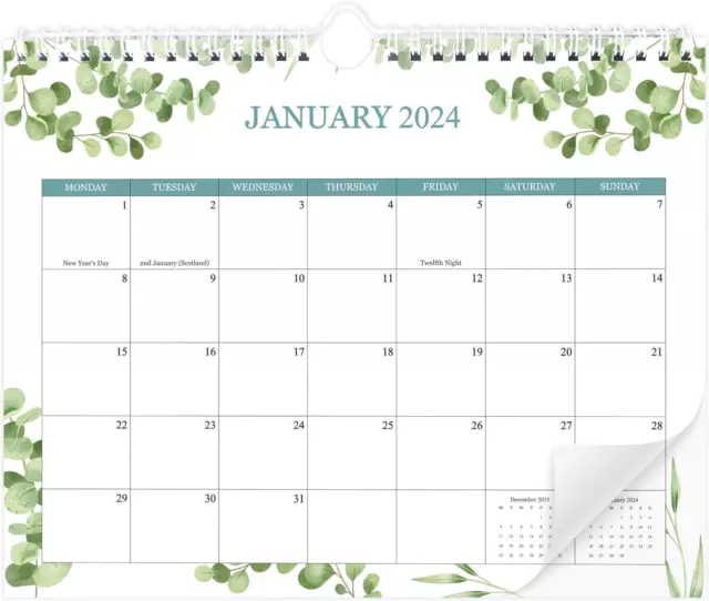 CALENDAR 20242025 18 Month Wall from Jan 2025 June 2025 Monthly... £