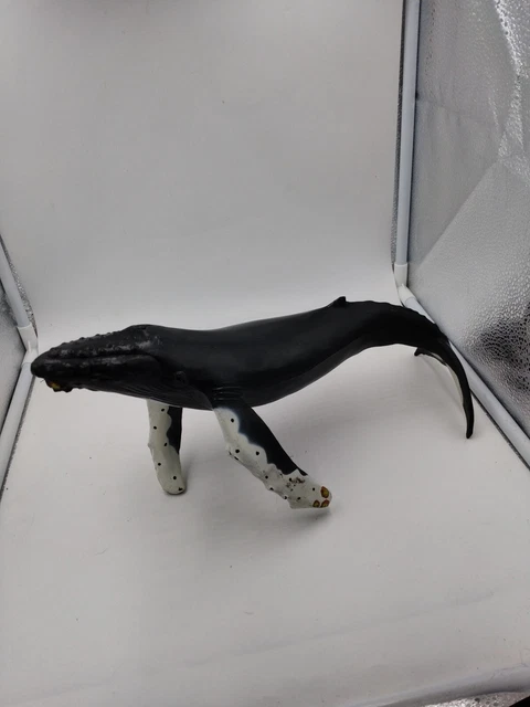 1991 Safari Ltd Monterey Bay Aquarium Humpback Whale PVC Realistic vintage 12.5” 3