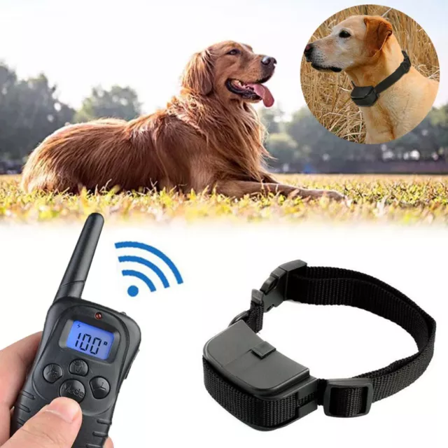300m collar de choque para perro con control remoto impermeable mascota eléctrica B
