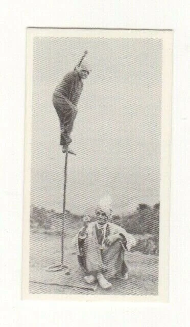 Brooke Bond #14 - The Indian Rope Trick