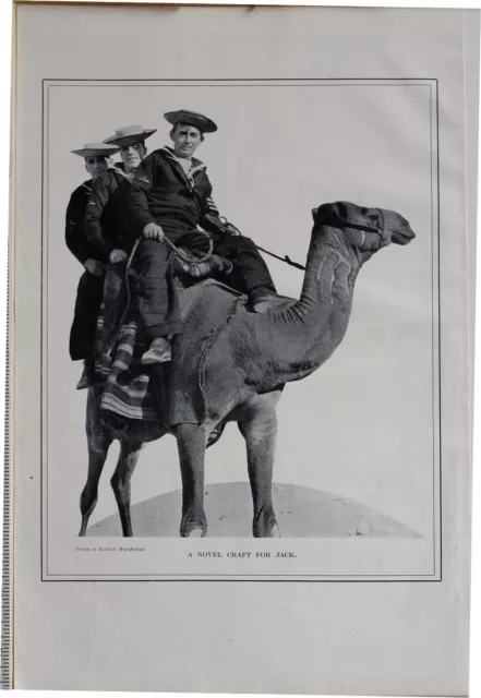 1915 Ww1 Print Naval Sailors Soldier On Camel