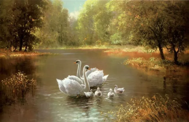 Art Oil painting happy family birds swan on the lake in landscape canvas