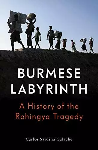 The Burmese Labyrinth by Carlos Sardina Galache Paperback / softback Book The