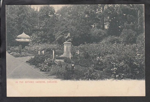 THE BOTANIC GARDENS, ADELAIDE postcard Unused