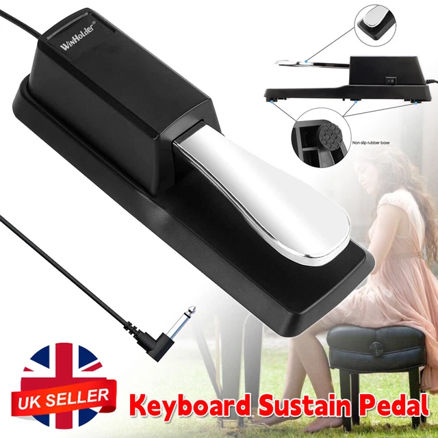 Universal Damper Sustain Pedal Foot w/Switch for Electronic Piano Keyboard Casio
