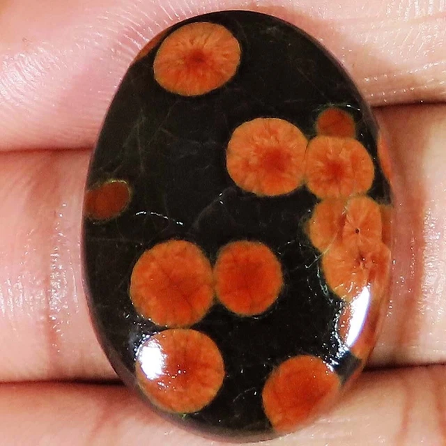 (22x30x06 MM Größe) 34.90 Cts. Natürlich Erdnuss Obsidian Ovale Form Lose