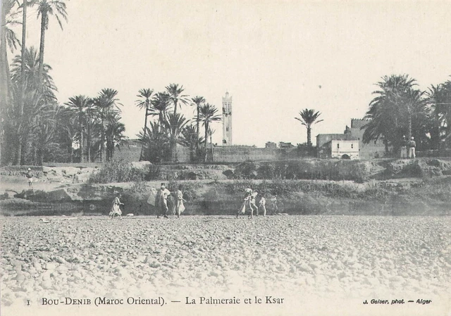CPA Morocco - Bou Denib - La palmeraie et le Ksar: 36688