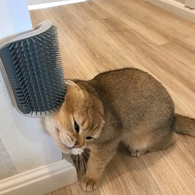 Cats Brush Corner Cat Massage Self Groomer Comb Brush Rubs Face with Tickling