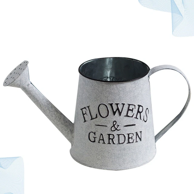 Vaso In Vetro Per Giacinti Idroponici – Bocca Larga 7,5 Cm, Altezza 14,5 Cm, Decorazione Da Tavolo Per Ufficio E Casa, Regalo Originale