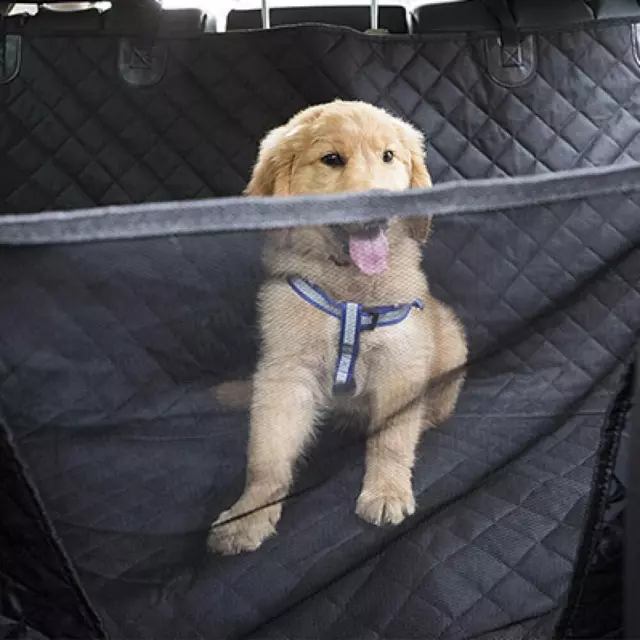 Chien Siège Arrière Housses Noir Coffre Protection Voiture pour Animaux Hamac C