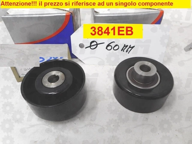Roulement de tendeur de courroie d'alternateur Ford Transit Connect avec poulie
