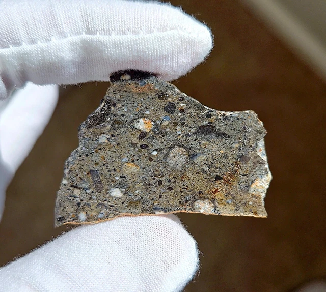 LUNAR Meteorite NWA 14576, Fragmental Breccia, 9.8g Slice. Piece of the MOON!