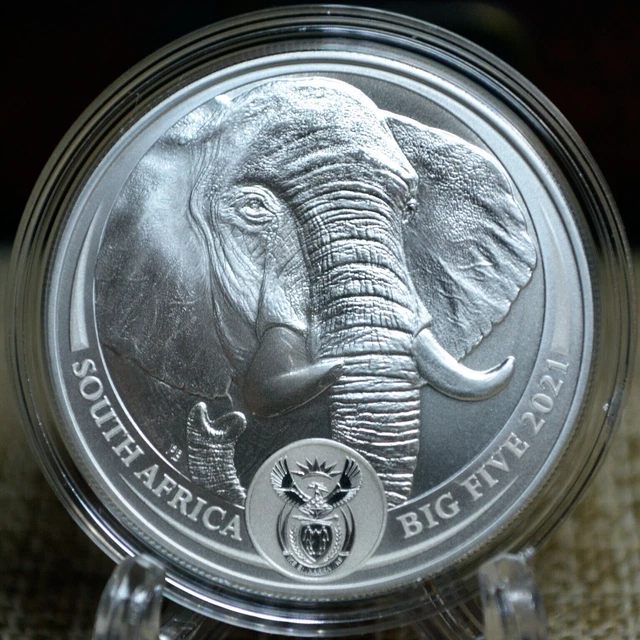 2023 1 oz South African Big Five Series II Leopard Silver Coin (BU) l