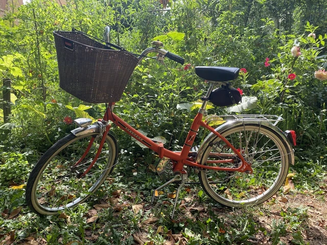 Vélo de style hollandais / mixte - Vélos
