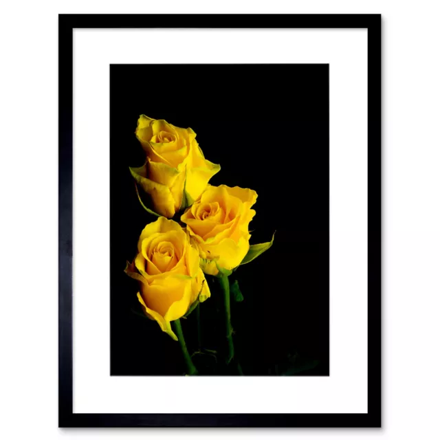 Photo Bouquet Yellow Roses Plant Framed Print 12x16 Inch