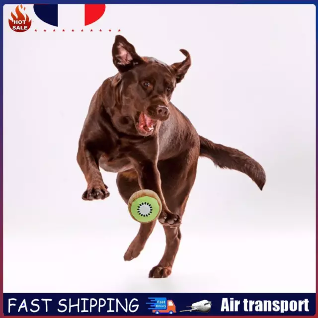 Fruit Shape Plush Dog Toy Stuffed Squeak Dog Interactive Toy (Kiwifruit) FR