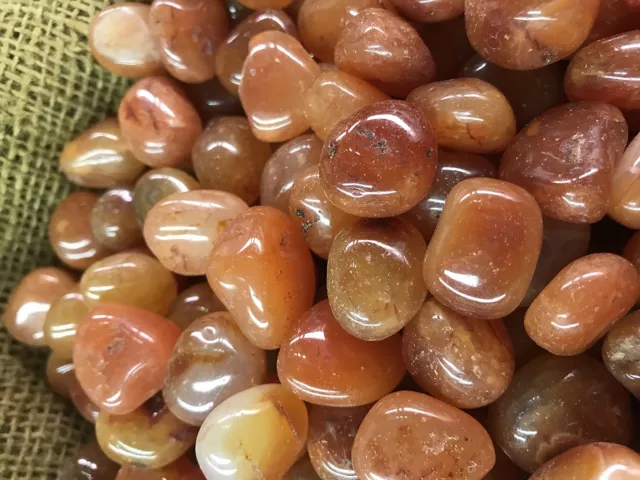 500 Carat Lots of Polished Tumbled Carnelian + FREE Faceted Gemstone - High End
