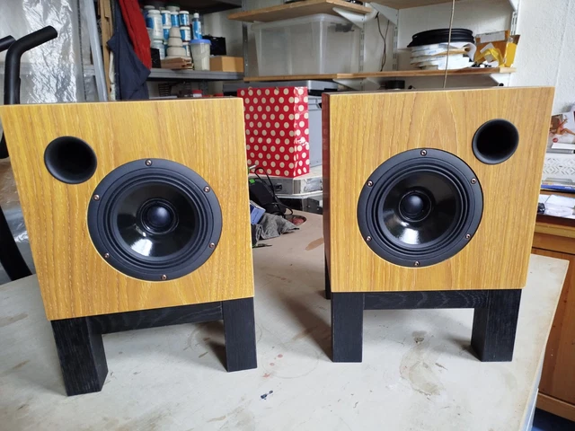 REGAL LAUTSPRECHER MIT Sica Koaxialchassis 120Watt 8 OHM EUR 11,50 ...