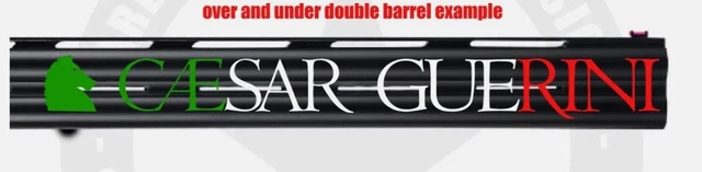 Lot De 2 Stickers Vinyle Blaser Pour Crosse De Fusil - Neuf - Expédition Rapide 24h