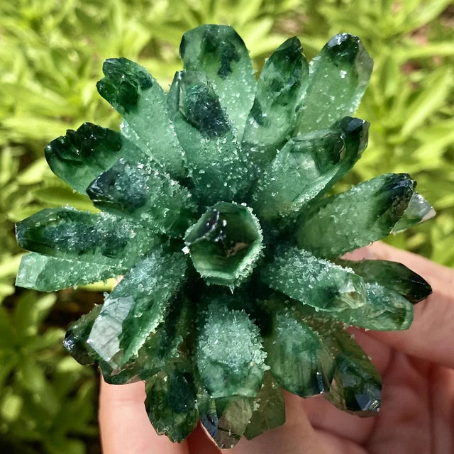 251G New Find Green Phantom Quartz Crystal Cluster Mineral Specimen Healing