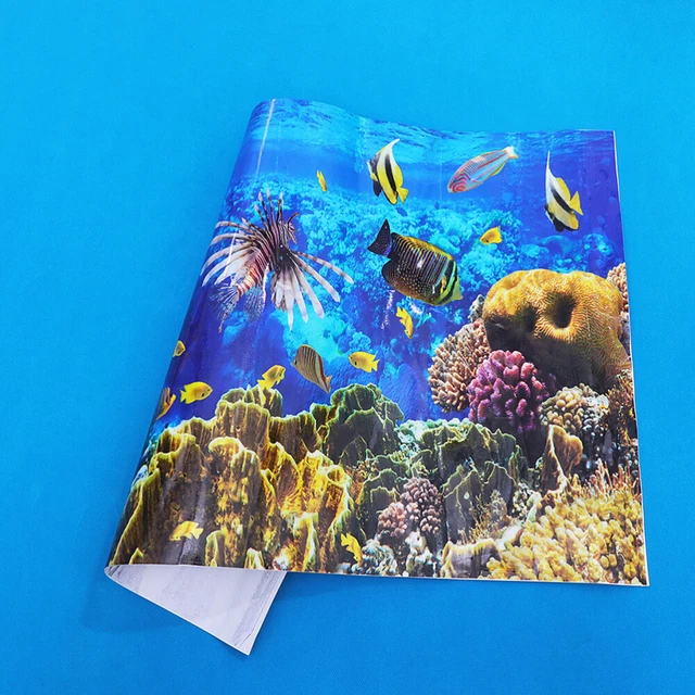 50 Aquatic Marine Ocean Life Stickers Scrapbooking Journal Skin Lot Bulk Decals V0rbx1lfsvbzxr1d - Foto 2