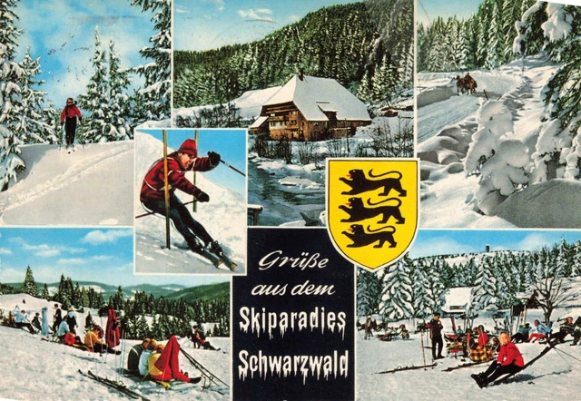 Postcard Germany Ski Paradise Resort Black Forest Schwarzwald Snow Lodge Lions