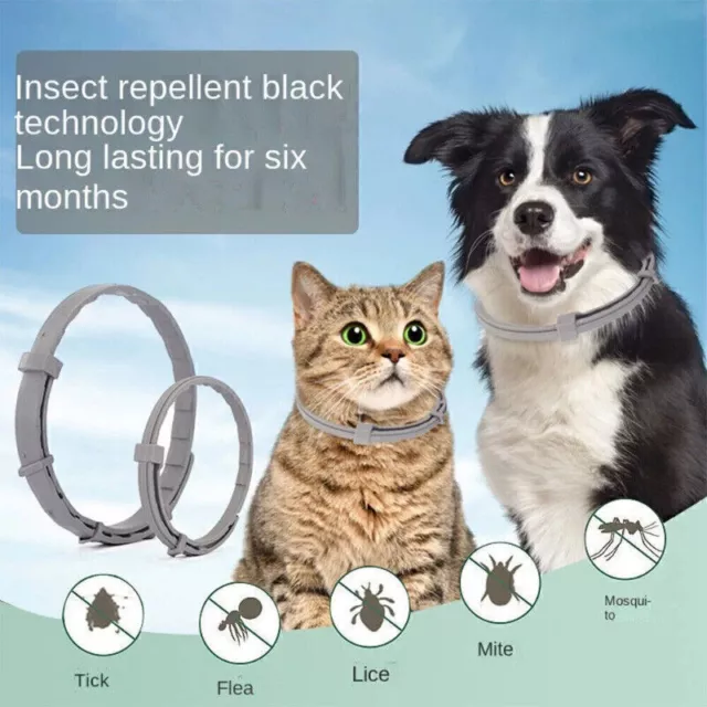Collare antiparassitario Respinge per cani/gatti protezione 8mesi a12 2