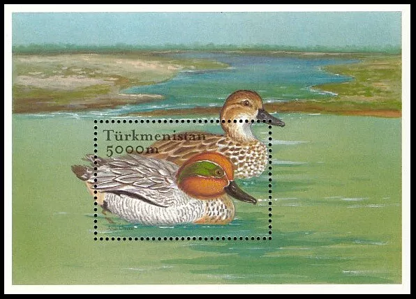 Pato Eurasiático Certeal (Anas crecca), Aves Acuáticas, Turkmenistán 2002 Estampillada sin montar o nunca montada