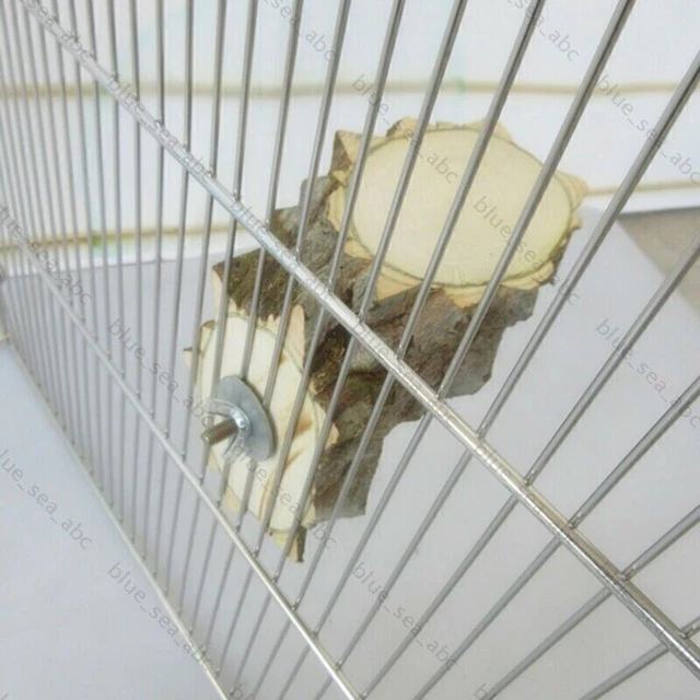 Holz Papagei Vogelständer Ast Haustier Wellensittich Spielzeug Sitzstangen DHL 2