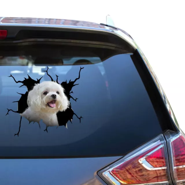 Maltese Dog Decal Maltese Crack Car Sticker Funny Memes Weatherproof Fridge Mom