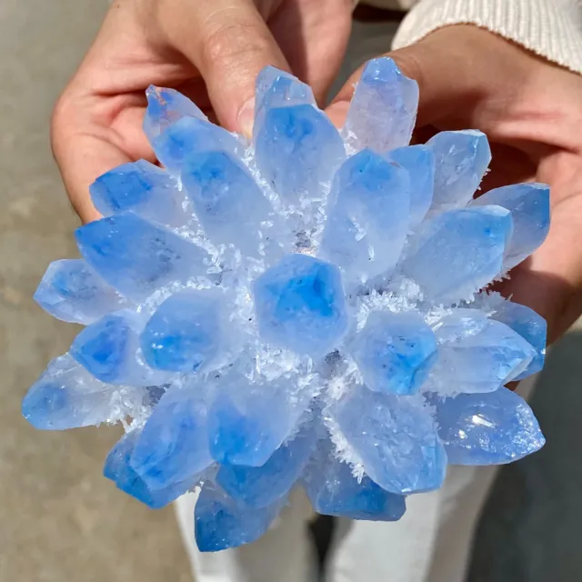 1.3LB New Find BLUE Phantom Quartz Crystal Cluster Mineral Specimen Healing