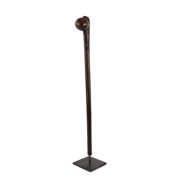 Zulu Knobkerrie Carved Wood Stick Cane on Custom Stand South Africa