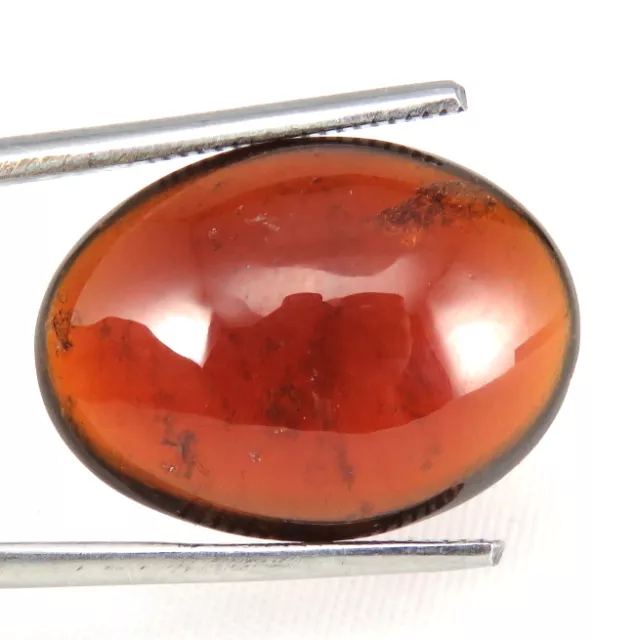 Shola Vrai 16,96 Carats Naturelle Hessonite Grenat De Ceylan