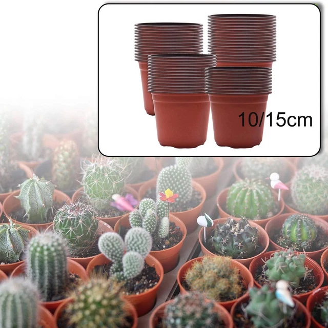 Set da 10 piccoli vasi da fiori quadrati di colore verde/rosa/nero/blu con vassoio, vaso per piante grasse in plastica, decorazione domestica per il giardinaggio | SHEIN ALIA