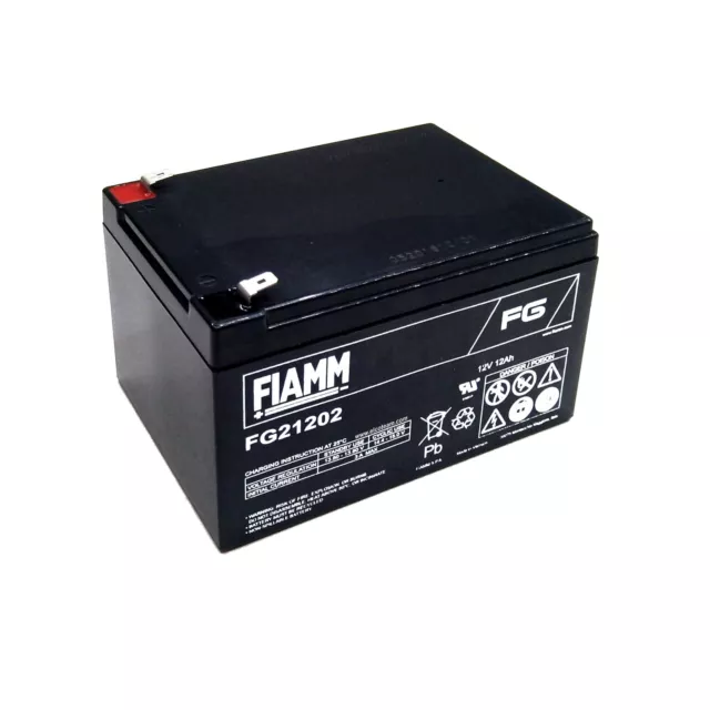 Fiamm FG21202 Batterie au Plomb Rechargeable 12V 12Ah Compatible Peg Perego