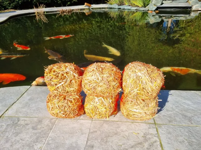 barley straw for natural algae & green water treatment in ponds. 6 logs